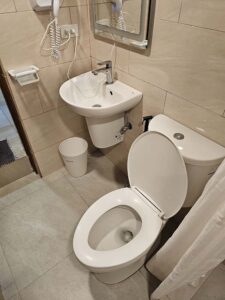 白い洗面台とトイレが備えられた共用バスルーム