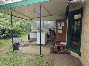 ランドリーエリアで洗濯作業をしている学校スタッフ