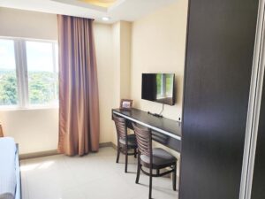 テレビとカウンターテーブル、クローゼットのあるシングルルーム