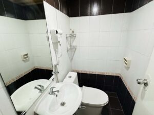 鏡付き洗面台、ヘアドライヤー、洗浄便座付き便器があるトイレットルーム