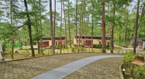 背の高い松の木々に囲まれたA&J ECO Campusの敷地内