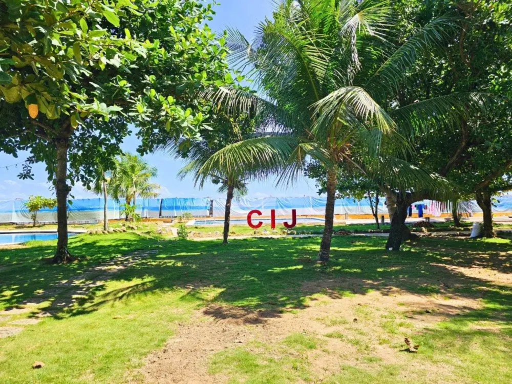 バミューダ芝と南国の木々に囲まれたCIJ Academyの校庭とCIJのサイン