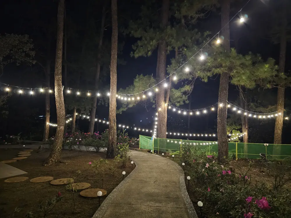 夜間にストリングライトで照らされた花と木々に囲まれたキャンパス内の小道