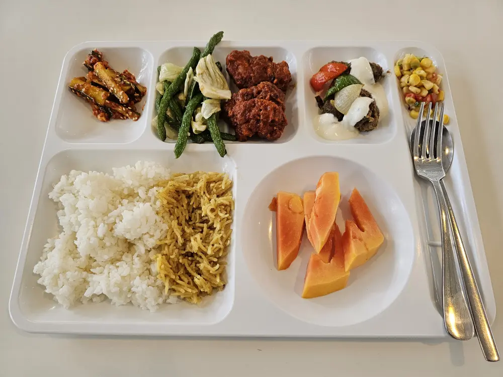 フライドチキン、野菜炒め、ケバブ、ビリヤニライス、パパイヤが盛り付けられた昼食