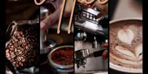 バギオ_A&J_ECO_ニュースレター_初心者バリスタコース_20251219