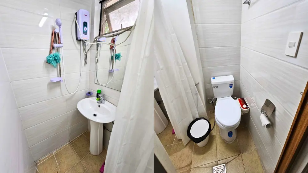 カーテンで仕切られた洗面台付きシャワーエリアと洗浄便座が備わったトイレ