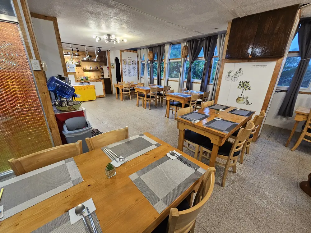 ランチョンマットの置かれた木製テーブルと木製椅子が綺麗に配置されたダイニングホール