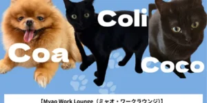 バギオ_BECI City_キャンパスで暮らす黒猫Coli・CocoとポメラニアンCoaの紹介