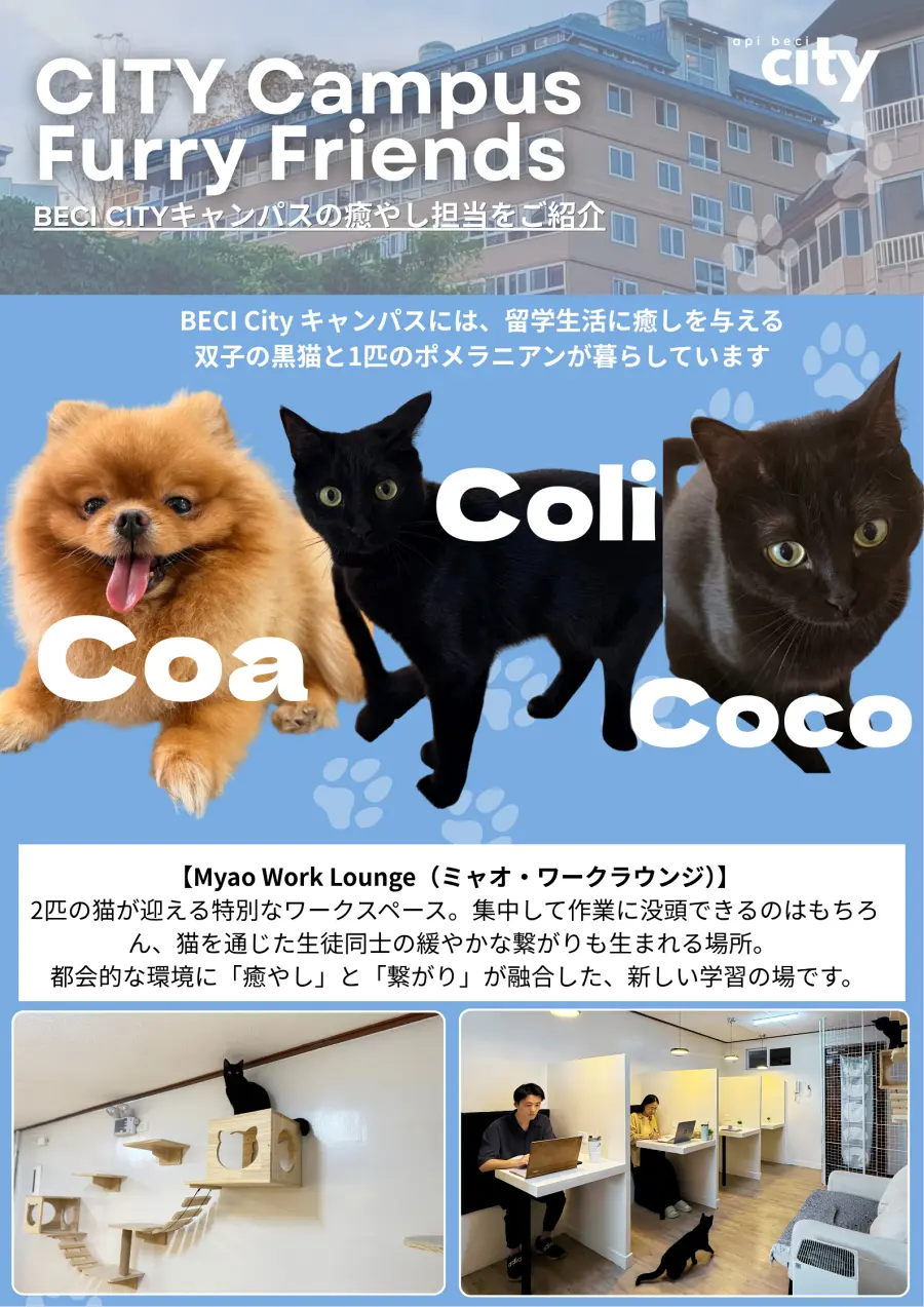 バギオ_BECI City_キャンパスで暮らす黒猫Coli・CocoとポメラニアンCoaの紹介