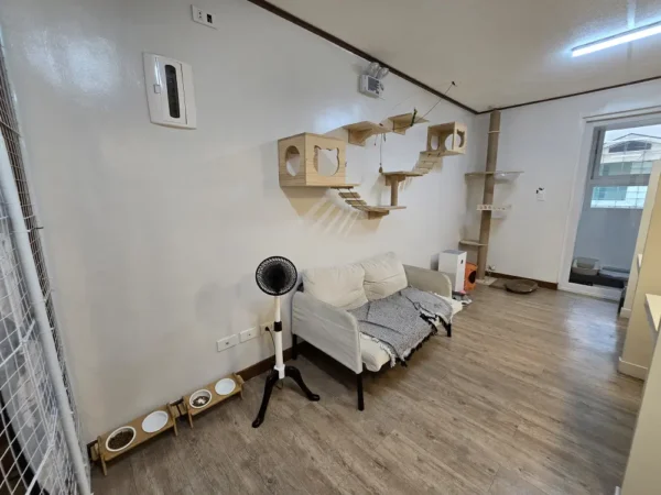 バギオ_BECI City_Myao Work Lounge内の猫用スペース