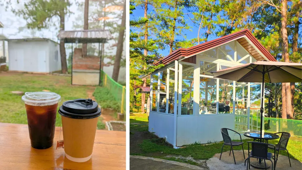 校内カフェで提供された飲み物(左)と、ガラス張りのEco Café外観と屋外パラソル席(右)