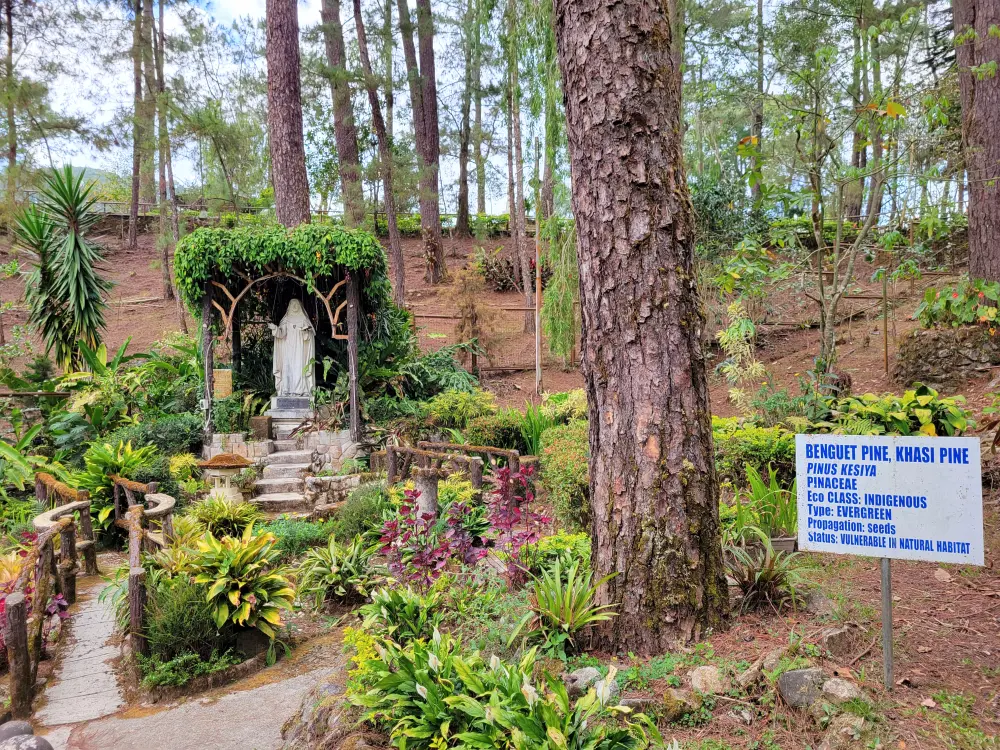 松林とさまざまな植物に囲まれた庭園に立つ、グッドシェパード修道会創設者の聖マリア・ユーフラジア・ペルティエ像